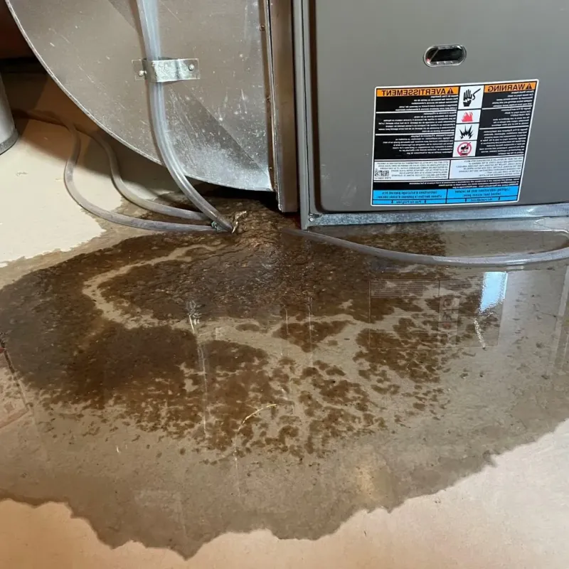 Pipe Burst and Leak Restoration in Grosse Pointe Shores, MI